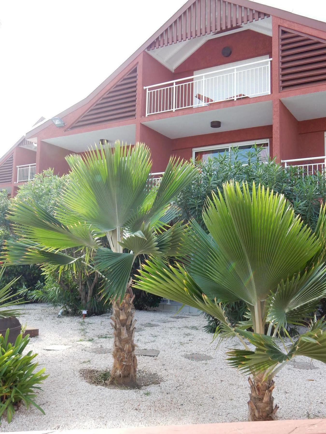 Palm Court Residence Orient Bay 外观 照片